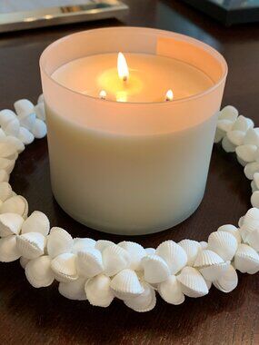 Beautiful Coastal Pure White Rose Clamshell Wreaths Table/Wall/Wedding Decor (2)